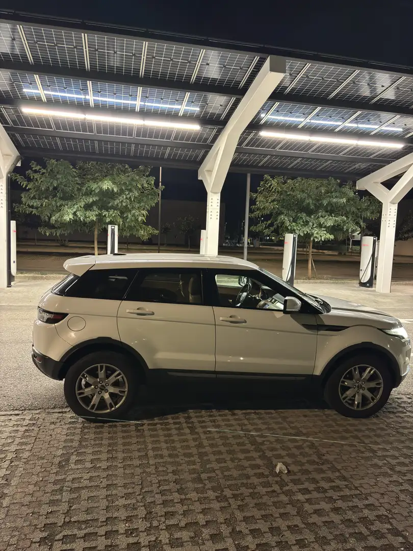Rover Rover - 2