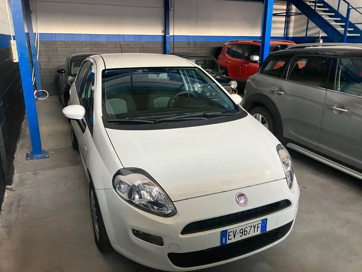 Fiat Punto Evo 5p 1.2 Active s&s Bianco - 1