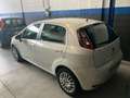Fiat Punto Evo 5p 1.2 Active s&s Bianco - thumbnail 3