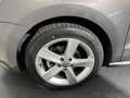 Volkswagen Polo Polo 1.4 DSG 5 porte Gris - thumbnail 8