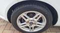 Ford Fiesta 1.4 5p. Bz.- GPL Titanium Bianco - thumbnail 14
