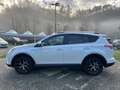 Toyota RAV 4 2.5 Hybrid 2WD Lounge Bianco - thumbnail 4