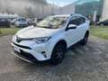 Toyota RAV 4 2.5 Hybrid 2WD Lounge Bianco - thumbnail 3