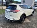 Toyota RAV 4 2.5 Hybrid 2WD Lounge Bianco - thumbnail 7