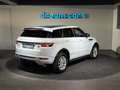 Land Rover Range Rover Evoque Autobiography 2,2 SD4 Aut. / R DYNAMIC / Head up Weiß - thumbnail 16