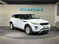 Land Rover Range Rover Evoque Autobiography 2,2 SD4 Aut. / R DYNAMIC / Head up Weiß - thumbnail 5