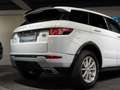 Land Rover Range Rover Evoque Autobiography 2,2 SD4 Aut. / R DYNAMIC / Head up Weiß - thumbnail 14