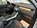 Land Rover Range Rover Evoque Autobiography 2,2 SD4 Aut. / R DYNAMIC / Head up Weiß - thumbnail 24