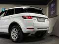 Land Rover Range Rover Evoque Autobiography 2,2 SD4 Aut. / R DYNAMIC / Head up Weiß - thumbnail 13