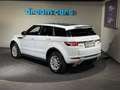 Land Rover Range Rover Evoque Autobiography 2,2 SD4 Aut. / R DYNAMIC / Head up Weiß - thumbnail 44