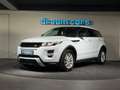 Land Rover Range Rover Evoque Autobiography 2,2 SD4 Aut. / R DYNAMIC / Head up Weiß - thumbnail 12