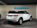 Land Rover Range Rover Evoque Autobiography 2,2 SD4 Aut. / R DYNAMIC / Head up Weiß - thumbnail 43