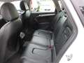 Audi A4 allroad 2.0 TDI F.AP. Advanced Pelle/Xeno/Navi Weiß - thumbnail 6
