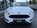 Ford Focus Trend*WINTERPAKET*TEMPOMAT*RADIO-CD Weiß - thumbnail 2