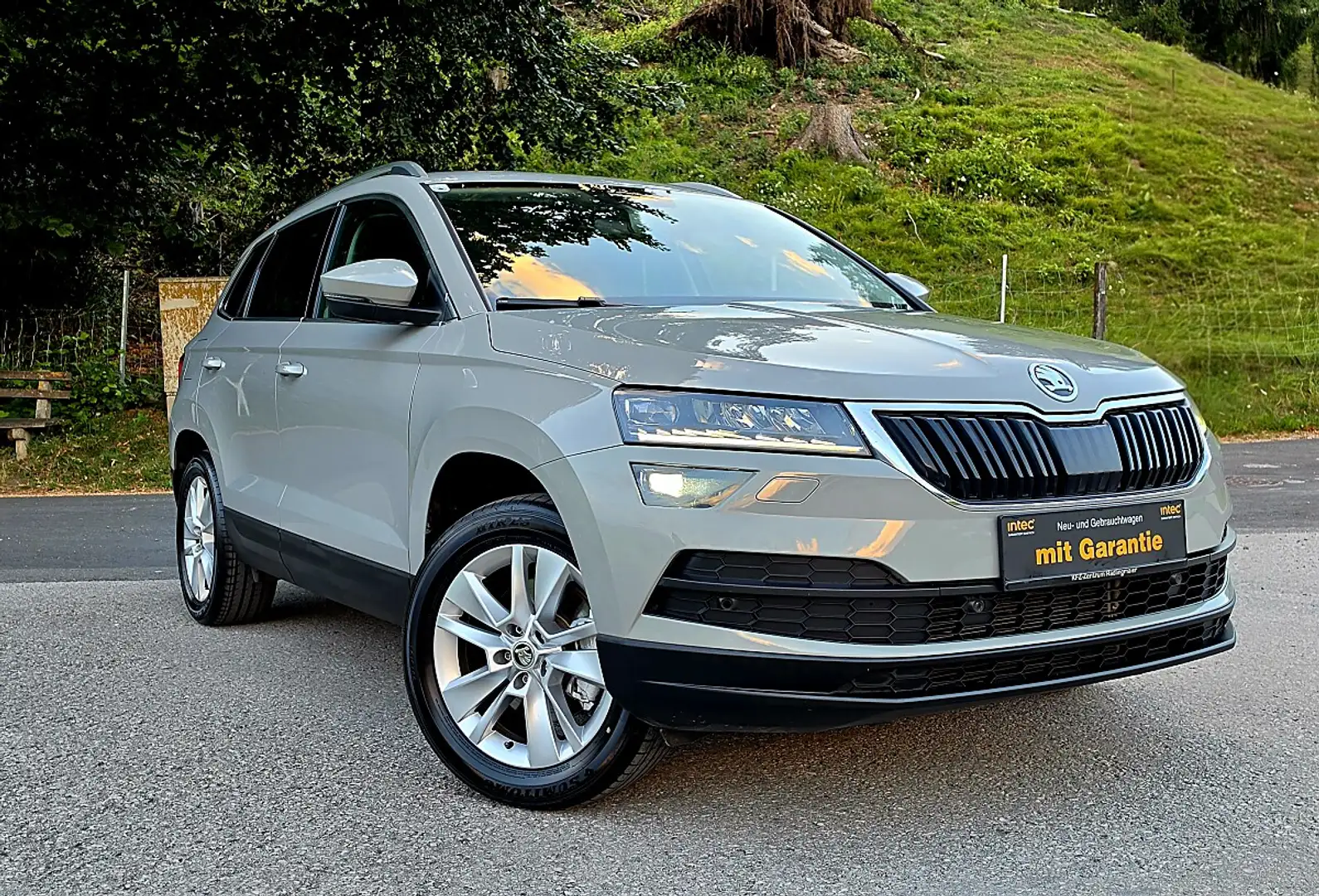 Skoda Karoq *STYLE*4x4*DSG*Servicegepflegt* Silber - 1