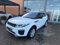 Land Rover Range Rover Evoque SE Dynamic Weiß - thumbnail 19