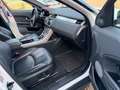 Land Rover Range Rover Evoque SE Dynamic Weiß - thumbnail 7