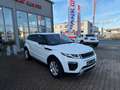 Land Rover Range Rover Evoque SE Dynamic Weiß - thumbnail 20