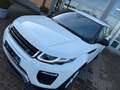 Land Rover Range Rover Evoque SE Dynamic Weiß - thumbnail 24