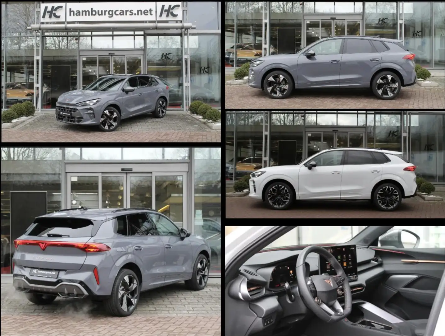 CUPRA Terramar VZ 2.0 TSI DSG 4x4 5J-Gar.frei konfigurierbar - 1