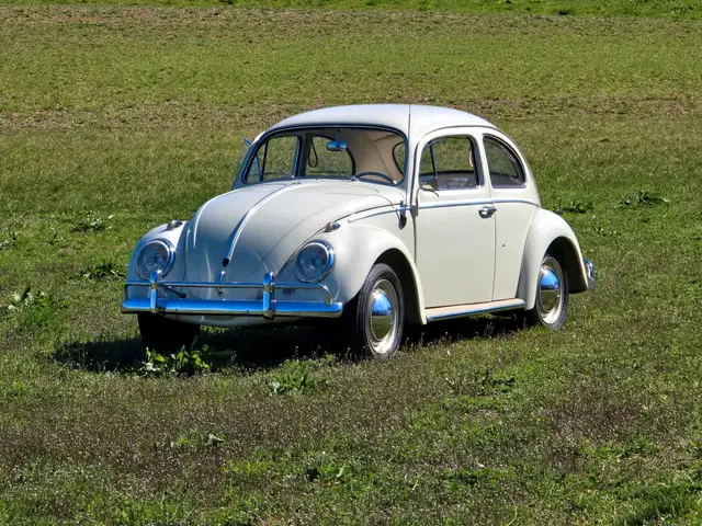 Volkswagen Käfer Export