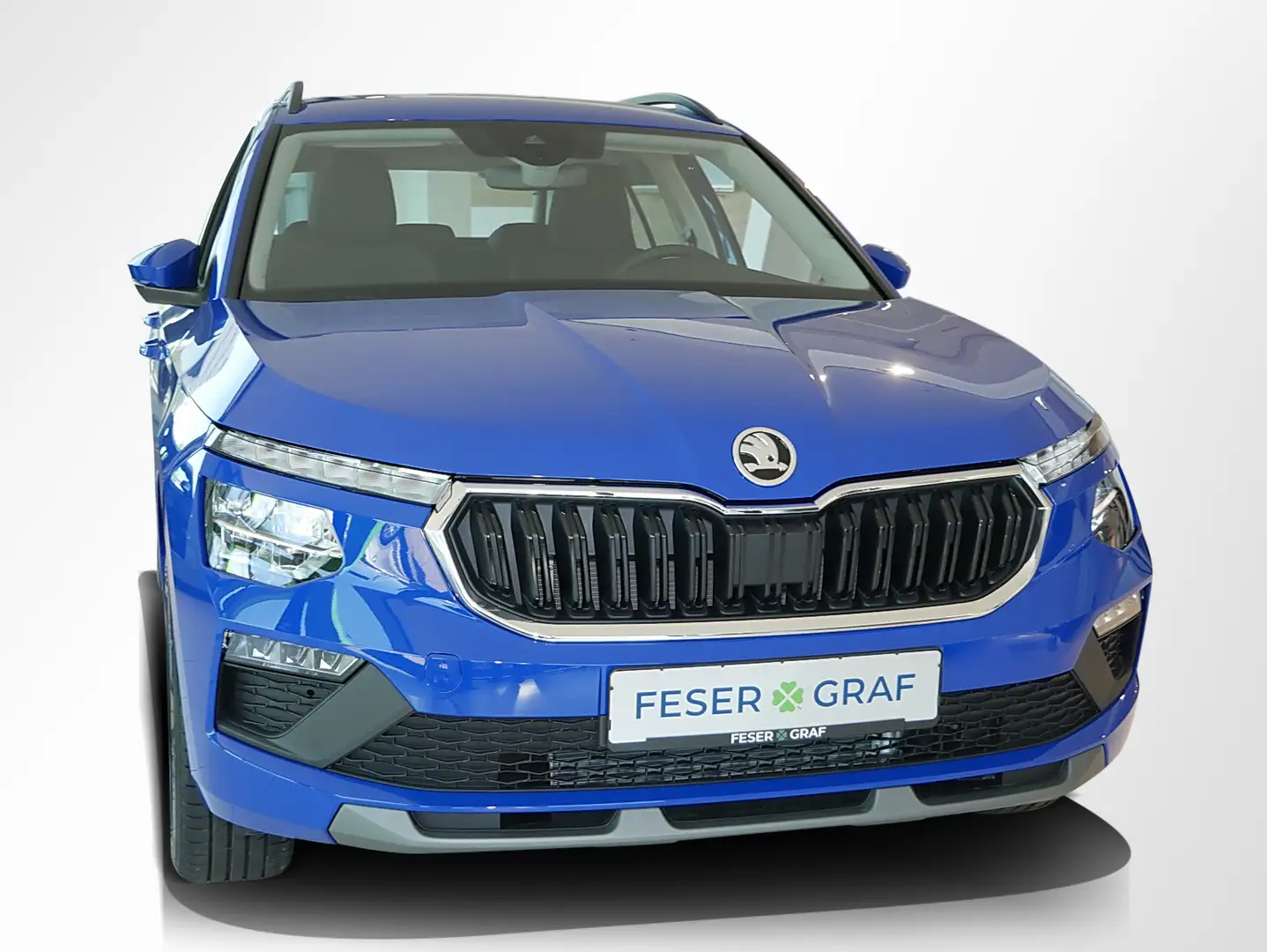 Skoda Kamiq 1.0 TSI Selection LED PDC SmartLink Blau - 2