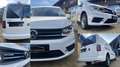 Volkswagen Caddy 2.0 TDI 4Motion DSG Maxi BiXenon Tempomat Weiß - thumbnail 7