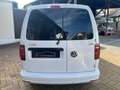 Volkswagen Caddy 2.0 TDI 4Motion DSG Maxi BiXenon Tempomat Weiß - thumbnail 6
