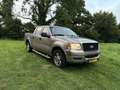 Ford F 150 Beige - thumbnail 2