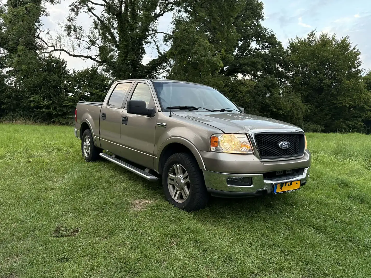 Ford F 150 Beige - 2