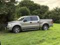 Ford F 150 Beige - thumbnail 1