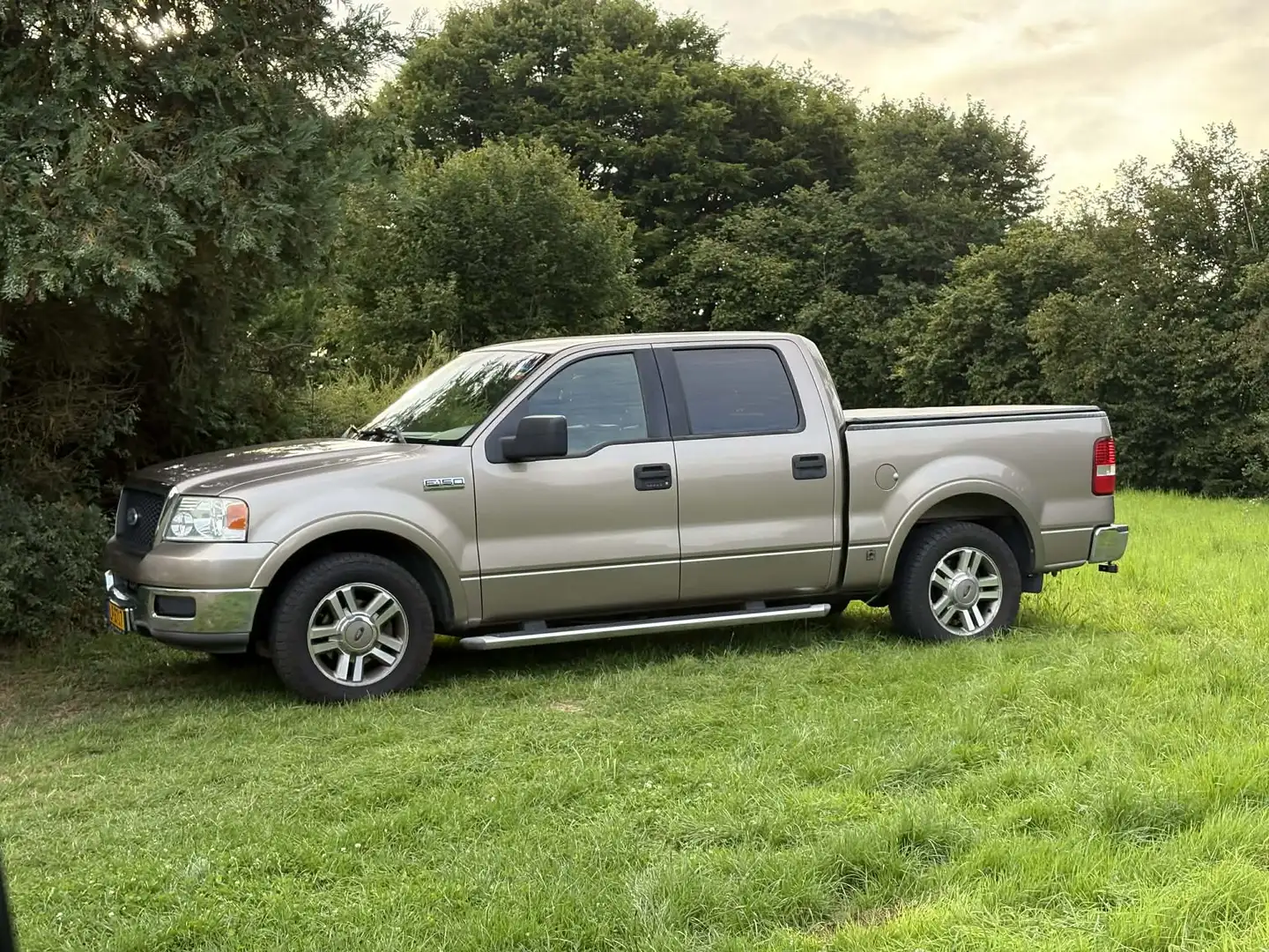 Ford F 150 Beige - 1