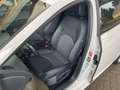 SEAT Leon ST Xcellence 2.0 TDI DSG Weiß - thumbnail 7