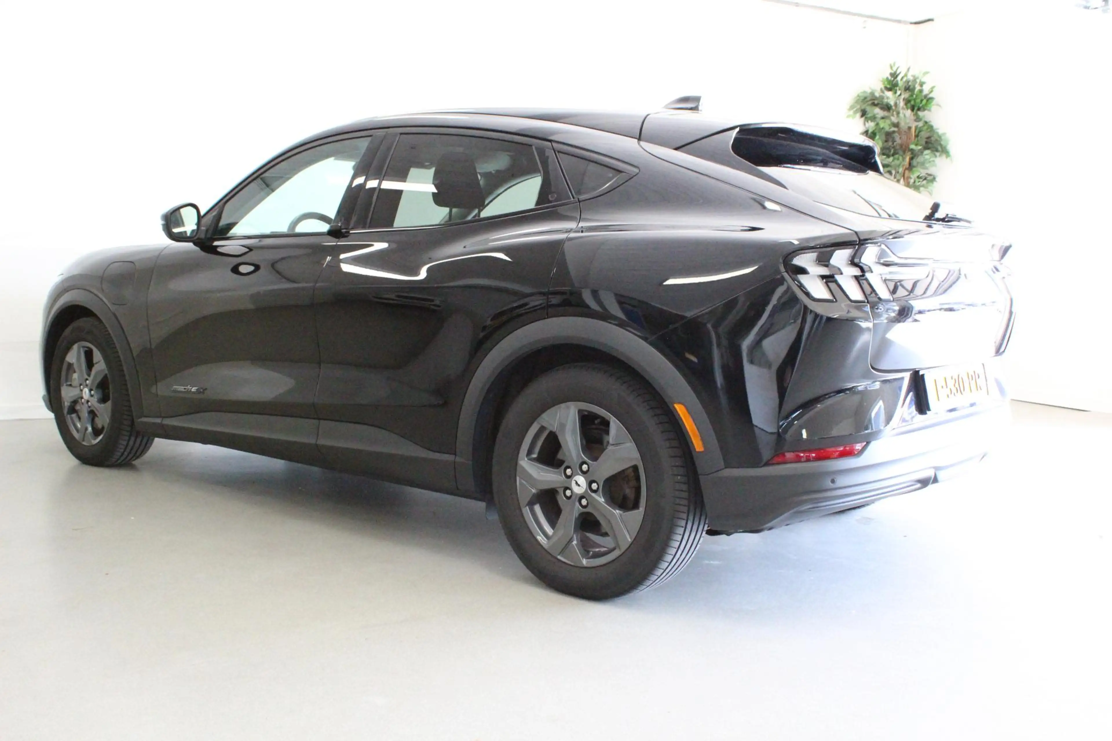 Ford Mustang Mach-E Extended RWD 98 kWh — photo 6