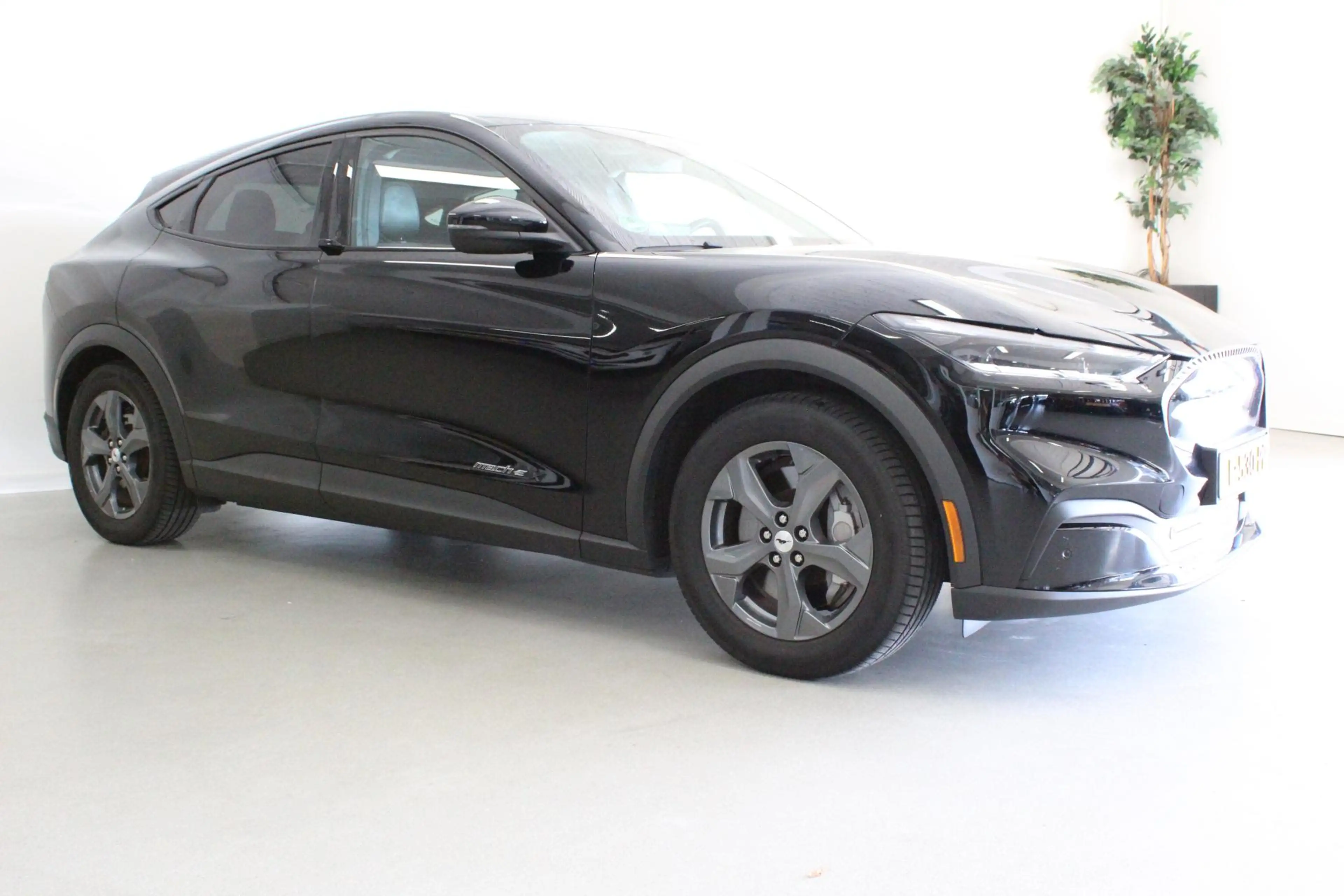 Ford Mustang Mach-E Extended RWD 98 kWh — photo 2