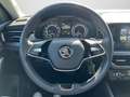 Skoda Kamiq Clever 1,0TSI 110PS DSG KAM Apple CarPlay Grau - thumbnail 9