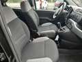 Fiat Panda Panda 1.0 firefly hybrid City Cross s Nero - thumbnail 15