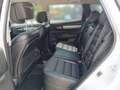 Renault Koleos KOLEOS Initiale Paris dCi 185 4WD X-Tronic Bílá - thumbnail 9