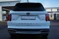 Kia Sorento 1.6 Platinum LED Navi 7-Sitzer Head-Up Weiß - thumbnail 21