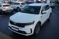 Kia Sorento 1.6 Platinum LED Navi 7-Sitzer Head-Up Weiß - thumbnail 22