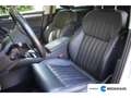 Skoda Superb 1.6 TDI AUTOMAAT | VOL! | TREKHAAK | PANO DAK | LE Beyaz - thumbnail 8