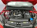 Skoda Fabia Monte Carlo 1,0 TSI 5-Gang- Rot - thumbnail 10