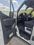 Mercedes-Benz Sprinter 211 CDI Weiß - thumbnail 14