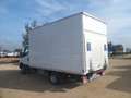 Iveco Daily 35c14 furgonatura con pedana Blanc - thumbnail 4