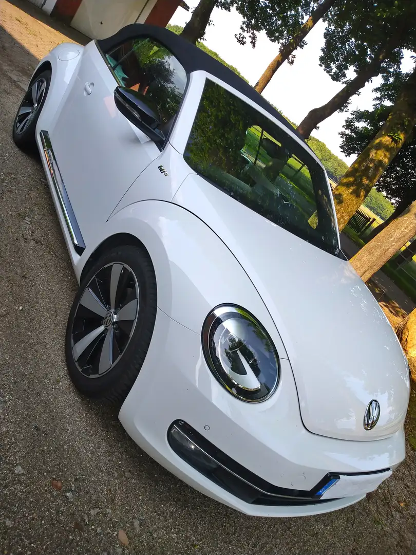 Volkswagen Beetle The Beetle Cabriolet 1.4 TSI 60s Weiß - 1