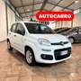 Fiat Panda 1.3mjt. 80cv AUTOCARRO 4 POSTI Wit - thumbnail 1