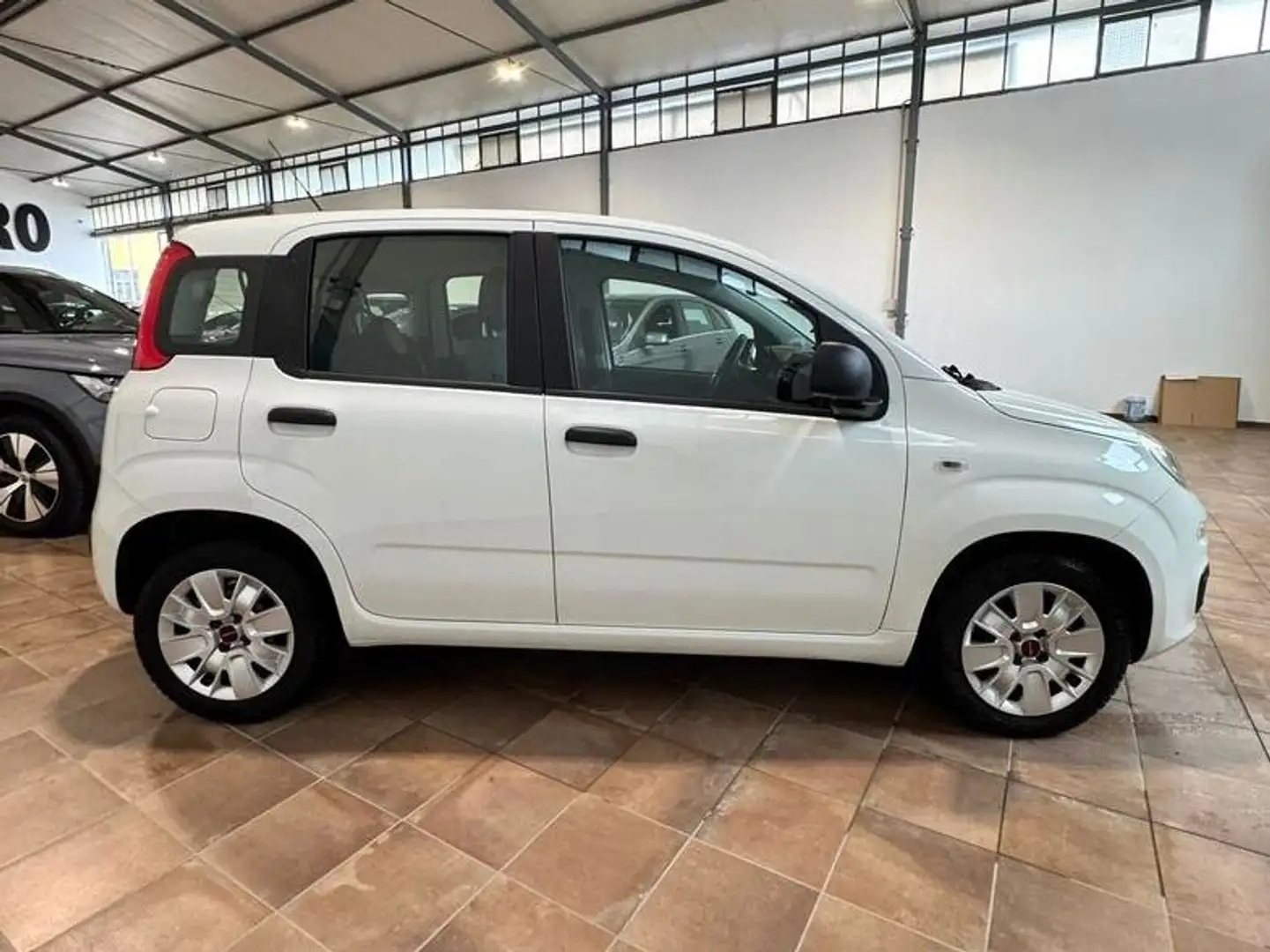 Fiat Panda 1.3mjt. 80cv AUTOCARRO 4 POSTI Wit - 2