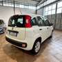 Fiat Panda 1.3mjt. 80cv AUTOCARRO 4 POSTI Wit - thumbnail 3