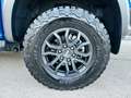 Ford Ranger Raptor 2.0 210cv Anticipo €23.300 noleggio no scoring Albastru - thumbnail 13