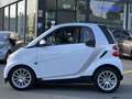 smart forTwo Coupe 1.0i Passion Softouch*boîte auto*PANO*CLIMA Beige - thumbnail 9